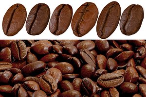 Coffee Beans Low-poly PBR