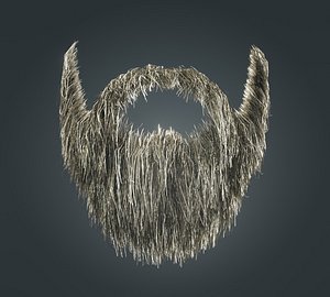 Beard RealTime 19 Version 1