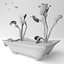 Planta armadilha para mosca Vênus