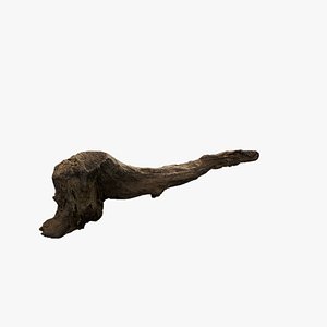 Anydrafts Log 21 3D model