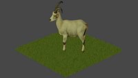 Modelo 3D Cabra para BLENDER