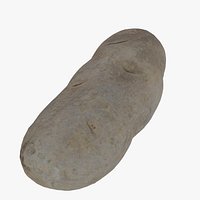 Photogrammetry Potato Remeshed