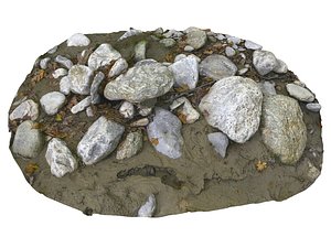 3D forest ground rock 16k model