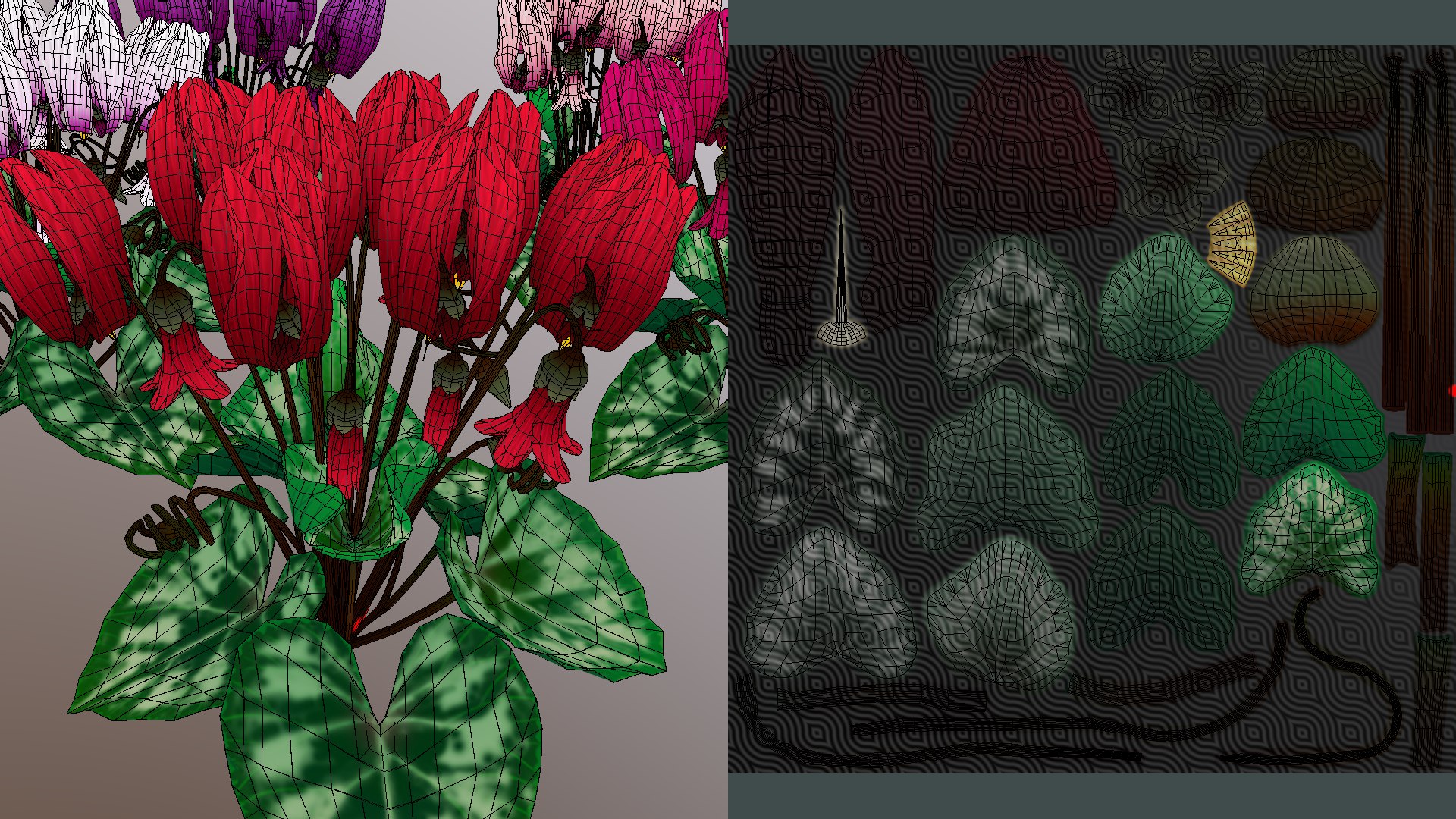 3D Flower Cyclacmen model https://p.turbosquid.com/ts-thumb/tk/PplwmA/I6/flower_cyclacmen1/png/1696241546/1920x1080/fit_q87/83aec72ca912026406e7d4db90eaf396510cfa87/flower_cyclacmen1.jpg