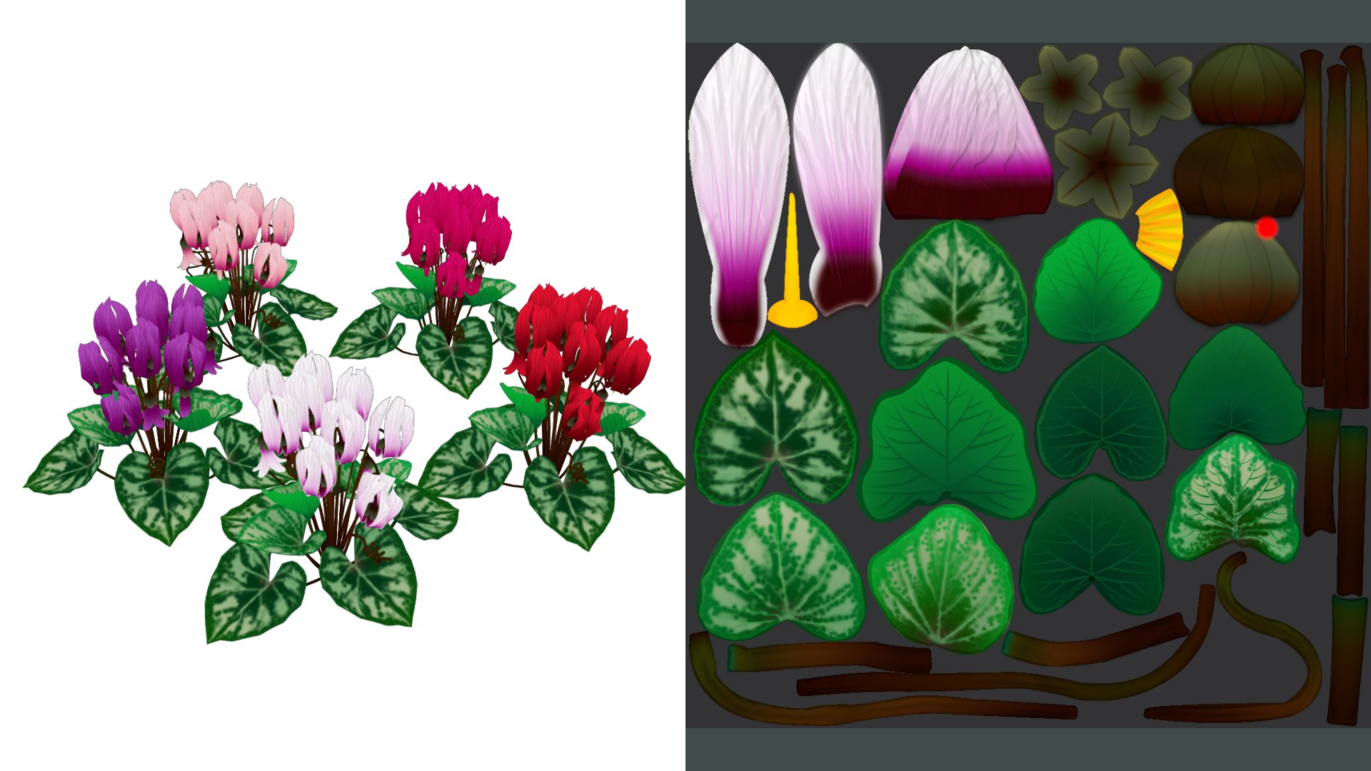 3D Flower Cyclacmen model https://p.turbosquid.com/ts-thumb/tk/PplwmA/vr/flower_cyclacmen_image4/png/1696241543/1920x1080/fit_q87/2e517acfa6d9550cbaa5fa18fdbb220692a5424c/flower_cyclacmen_image4.jpg