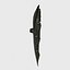shield