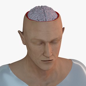 Head and Brain