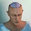 Head and Brain