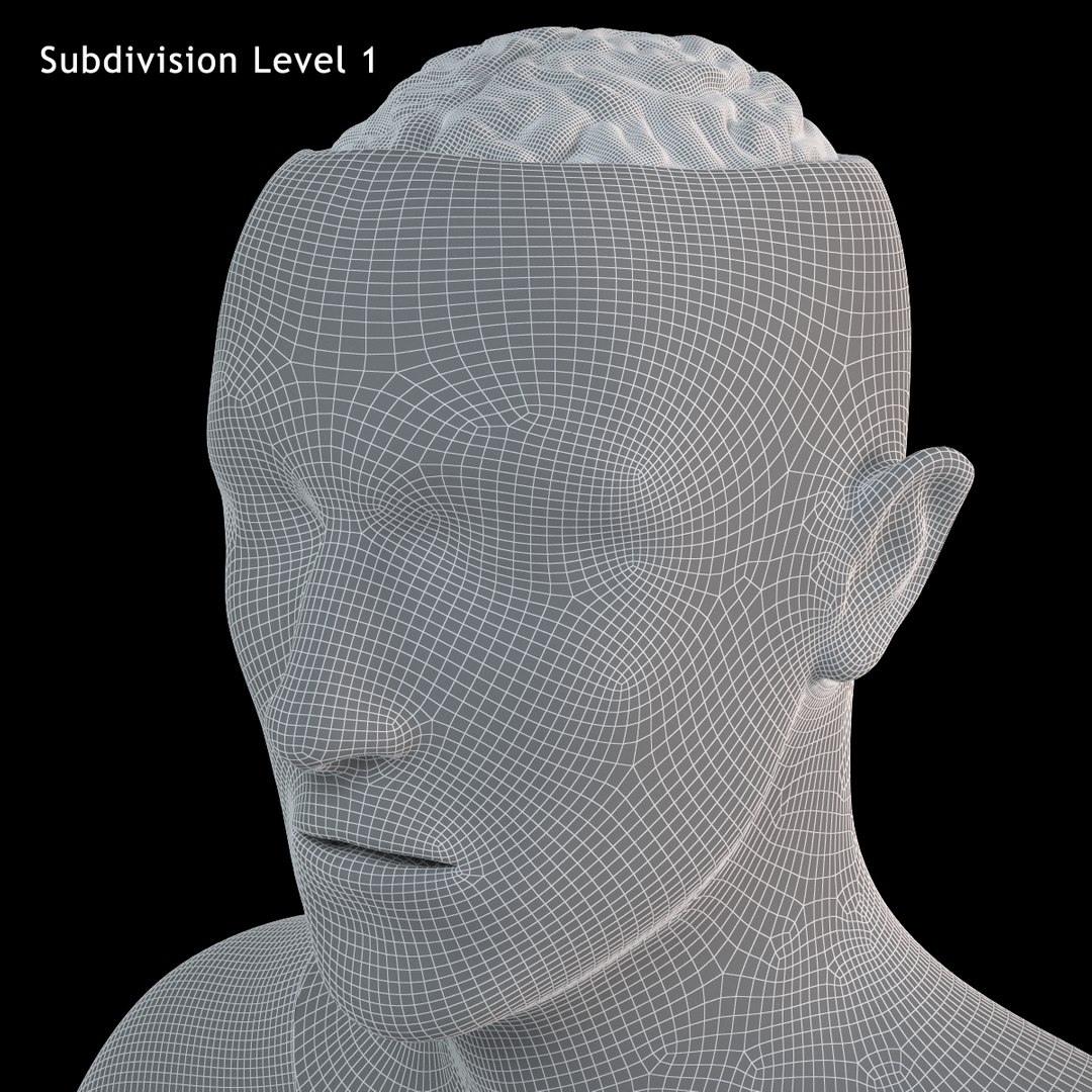 skull brain 3d lwo https://p.turbosquid.com/ts-thumb/tk/iCMpsI/JKe9S1O4/subdivision0003/png/1403789703/1920x1080/fit_q87/77e680febe7514fdbd26fd2e2e72e58b3db6dc00/subdivision0003.jpg