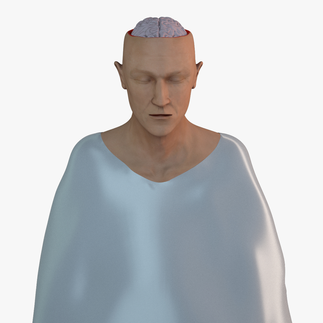 skull brain 3d lwo https://p.turbosquid.com/ts-thumb/tk/iCMpsI/cvqHGTvx/image/png/1403790012/1920x1080/turn_fit_q99/3e710dcbd81a76d5cfa92a7be1959820f138a1b2/image-1.jpg
