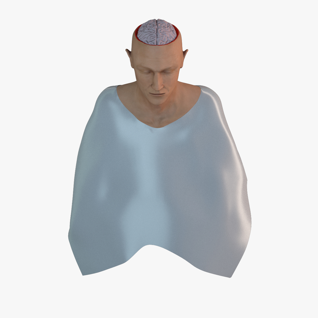 skull brain 3d lwo https://p.turbosquid.com/ts-thumb/tk/iCMpsI/ebnOY1V4/image/png/1403807987/1920x1080/turn_fit_q99/0ee6238e16f95013dbca7f406045ef407ed042e4/image-1.jpg