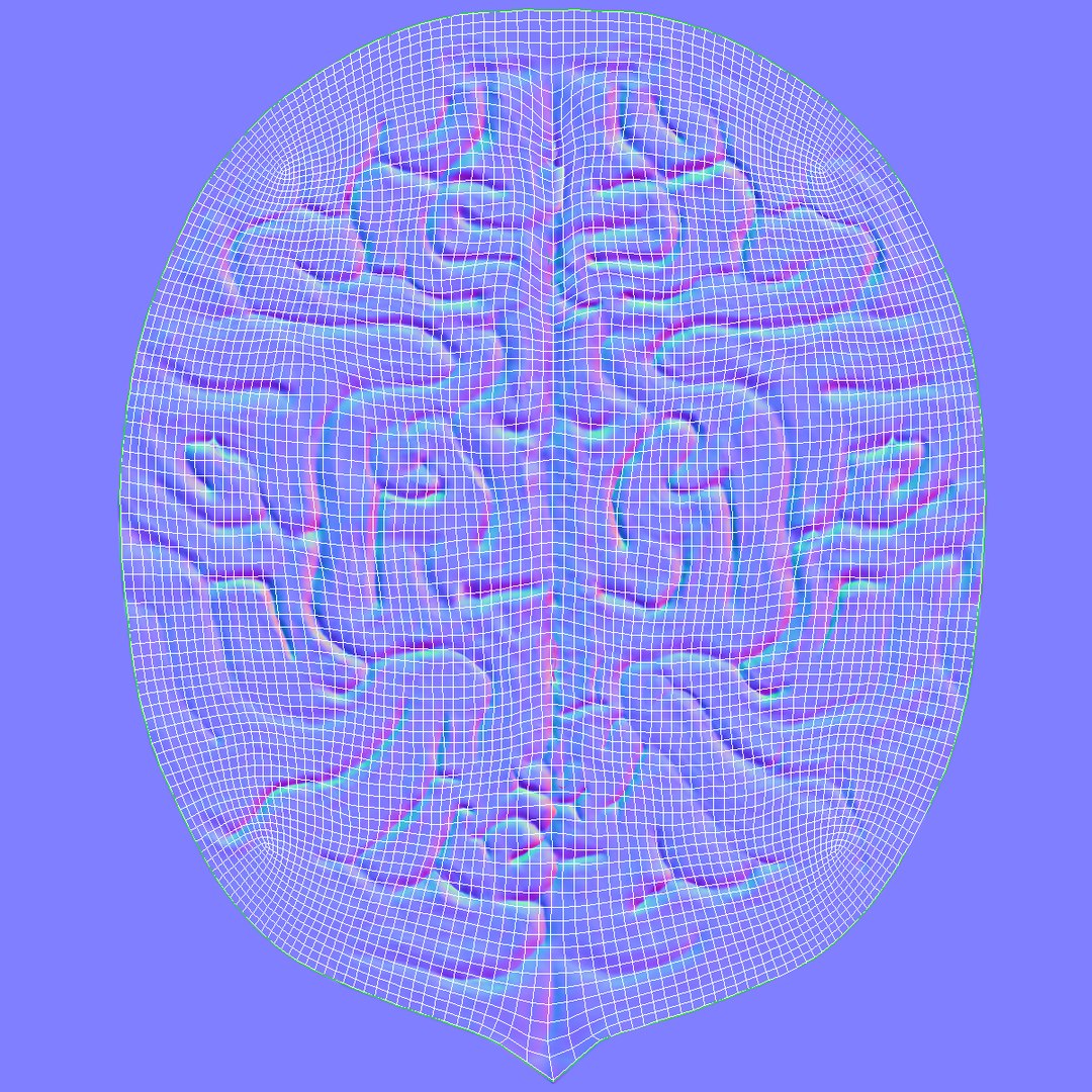 skull brain 3d lwo https://p.turbosquid.com/ts-thumb/tk/iCMpsI/yLSbhs3w/brain_uvs/png/1403789602/1920x1080/fit_q87/86cde0841e3362d8541e668357aea6b1b0cf84c4/brain_uvs.jpg