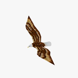 Eagle Low Poly Animated