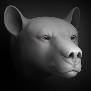 3D bear head animal 2020