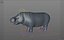 Hippopotame gréé