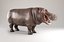 Hippopotame gréé