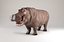 Hippopotame gréé
