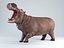 Hippopotame gréé