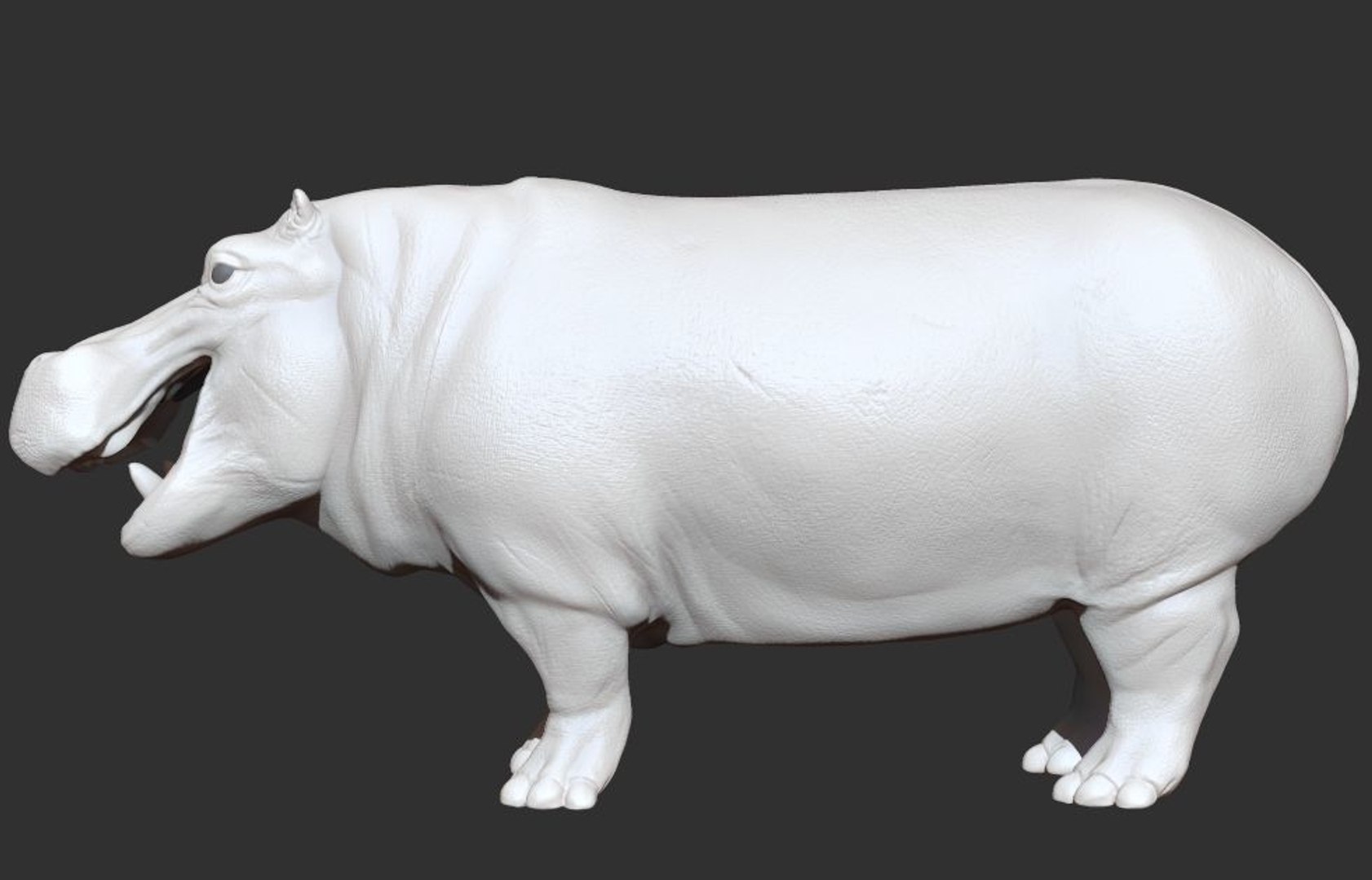 3D hippopotamus hippo rigged https://p.turbosquid.com/ts-thumb/tl/CXYpTQ/SawFf9Qc/h05/jpg/1554300167/1920x1080/fit_q87/042b0e85141d71539f5ee13f98a9a46d0c06d835/h05.jpg