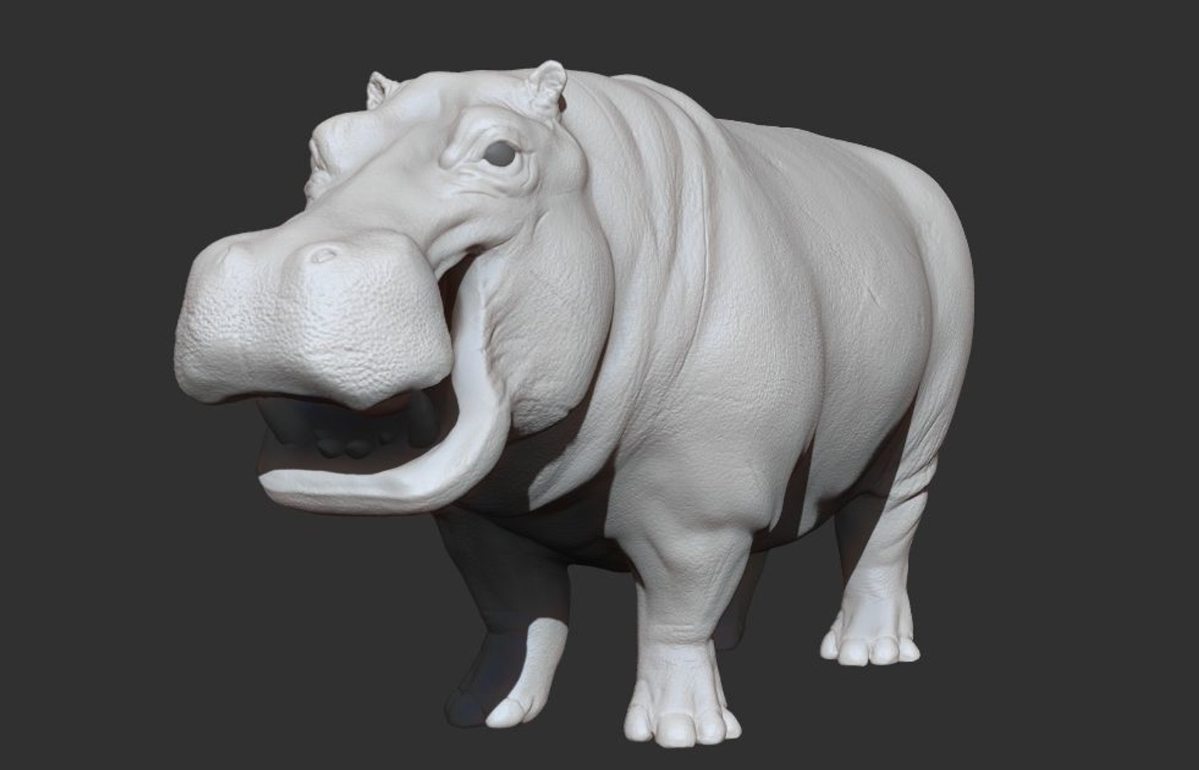 3D hippopotamus hippo rigged https://p.turbosquid.com/ts-thumb/tl/CXYpTQ/ZtbYhBim/h04/jpg/1554300167/1920x1080/fit_q87/c517728acaf72ff1136e67619d12877e8cf9cd52/h04.jpg