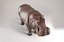 Hippopotame gréé