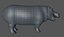 Hippopotame gréé
