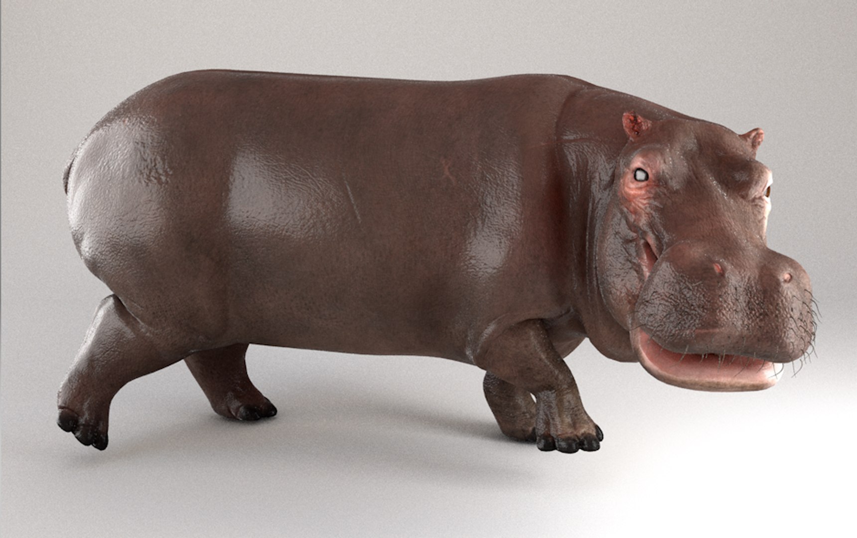 3D hippopotamus hippo rigged https://p.turbosquid.com/ts-thumb/tl/CXYpTQ/d6fpMuDH/03/png/1554300167/1920x1080/fit_q87/d80f5d8c3b7b0b7b273d81a918ad4a5a2df1b952/03.jpg