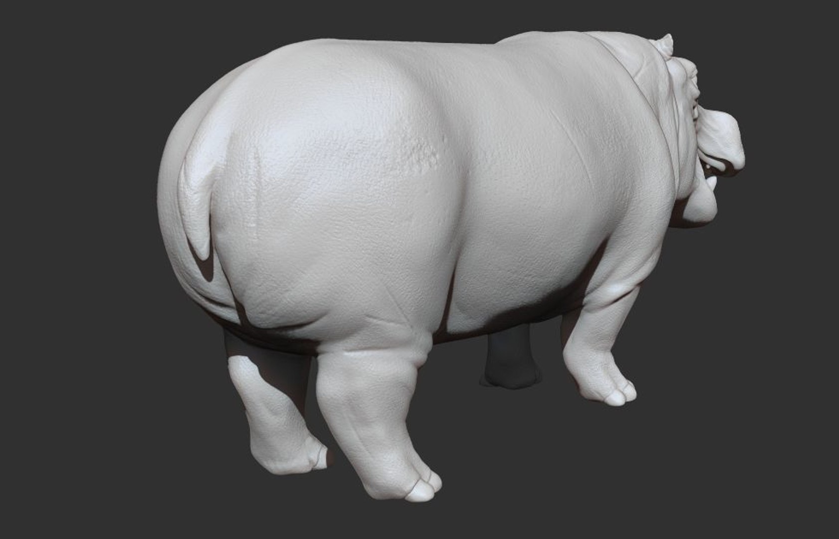 3D hippopotamus hippo rigged https://p.turbosquid.com/ts-thumb/tl/CXYpTQ/mgIr7nRj/h07/jpg/1554300167/1920x1080/fit_q87/b675f71e873eb9ed72b97140655946e3cacfe63c/h07.jpg