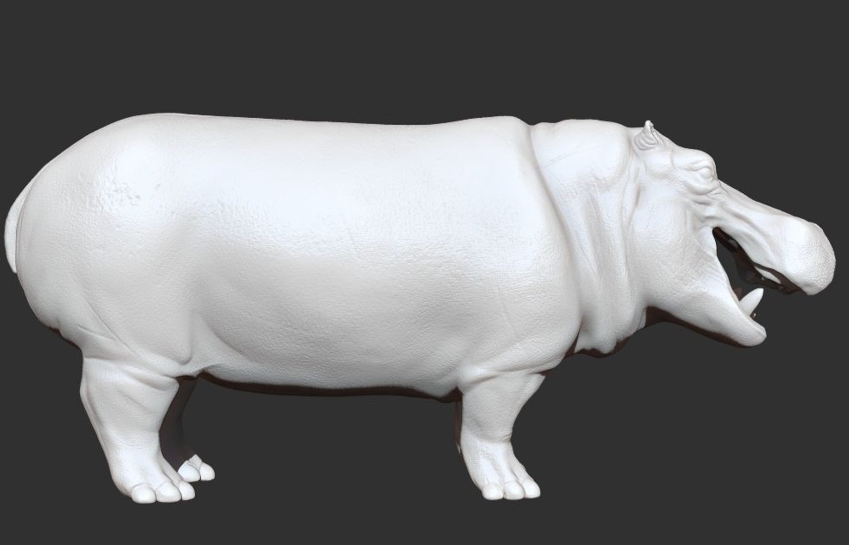 3D hippopotamus hippo rigged https://p.turbosquid.com/ts-thumb/tl/CXYpTQ/usEshz8w/h06/jpg/1554300167/1920x1080/fit_q87/93c0d98b610ac95680079ca3885a7e665843f2b1/h06.jpg