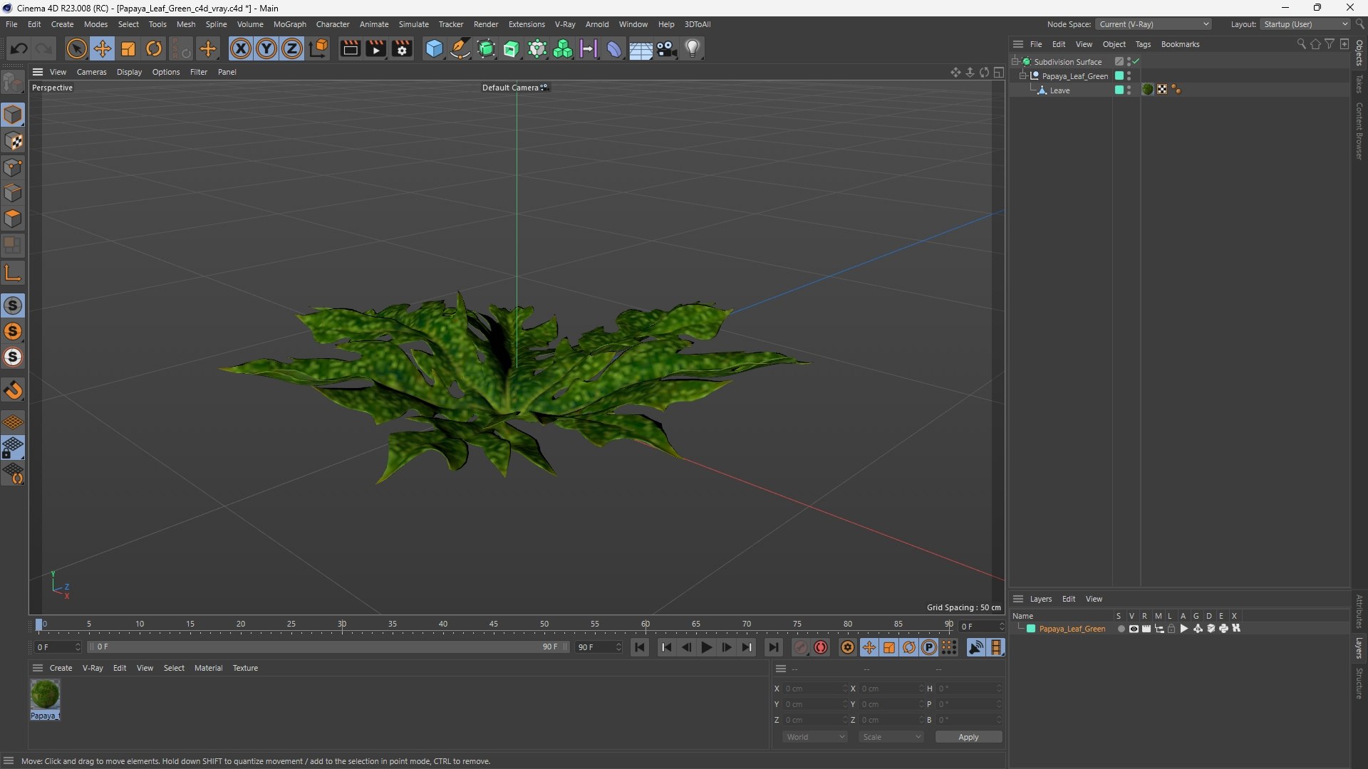 Papaya Leaf Green 3D model https://p.turbosquid.com/ts-thumb/tl/ELncYT/OK/papaya_leaf_green_1003/jpg/1772092425/1920x1080/fit_q87/add0187041b646f83a4d450b2f69ffdc678ffc99/papaya_leaf_green_1003.jpg