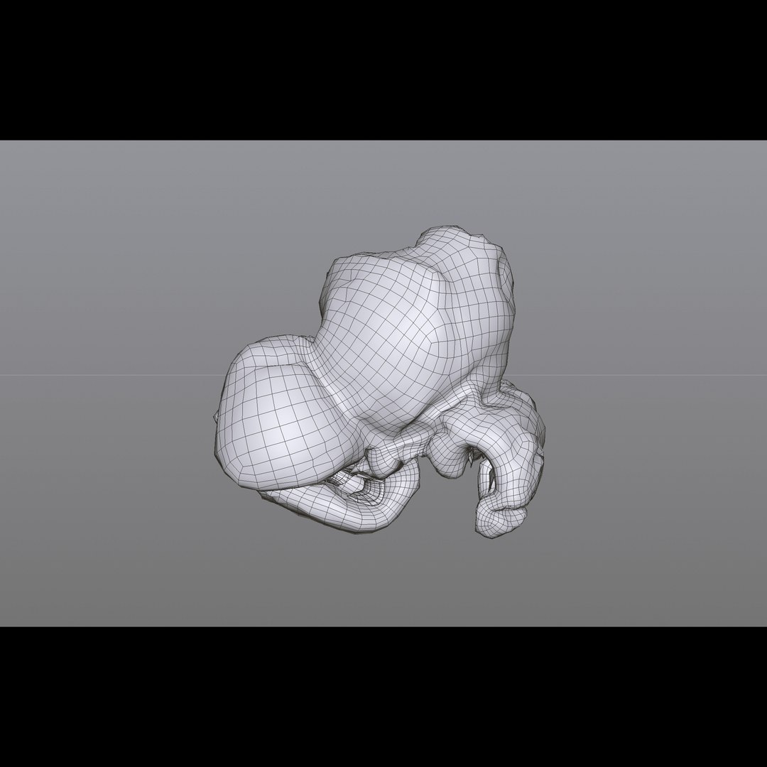 popcorn food snack 3D model https://p.turbosquid.com/ts-thumb/tl/IzB4nt/Egk7gBGO/popcorn_04_wire/jpg/1549987137/1920x1080/fit_q87/280347caf89184cd9a45fbffd3513b2cd1af72bf/popcorn_04_wire.jpg