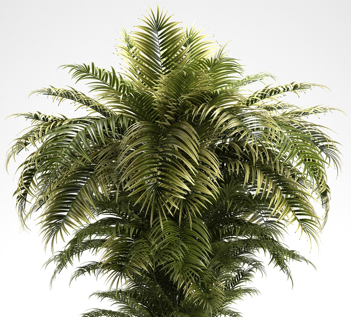 plants 221 indoor model https://p.turbosquid.com/ts-thumb/tl/N84WU4/T21sgOBE/3/jpg/1572365112/1920x1080/fit_q87/b42819fedfb0a399ea8d0e8018b886b4c27bf01e/3.jpg