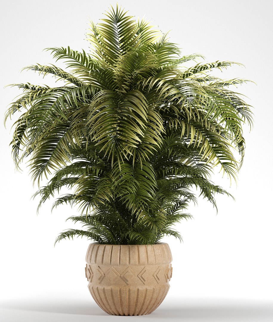 plants 221 indoor model https://p.turbosquid.com/ts-thumb/tl/N84WU4/atb9psvL/2/jpg/1572365096/1920x1080/fit_q87/8fd464ddd8683334567ff109abd56c14d7ab2947/2.jpg