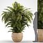 plants 221