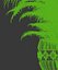 plants 221