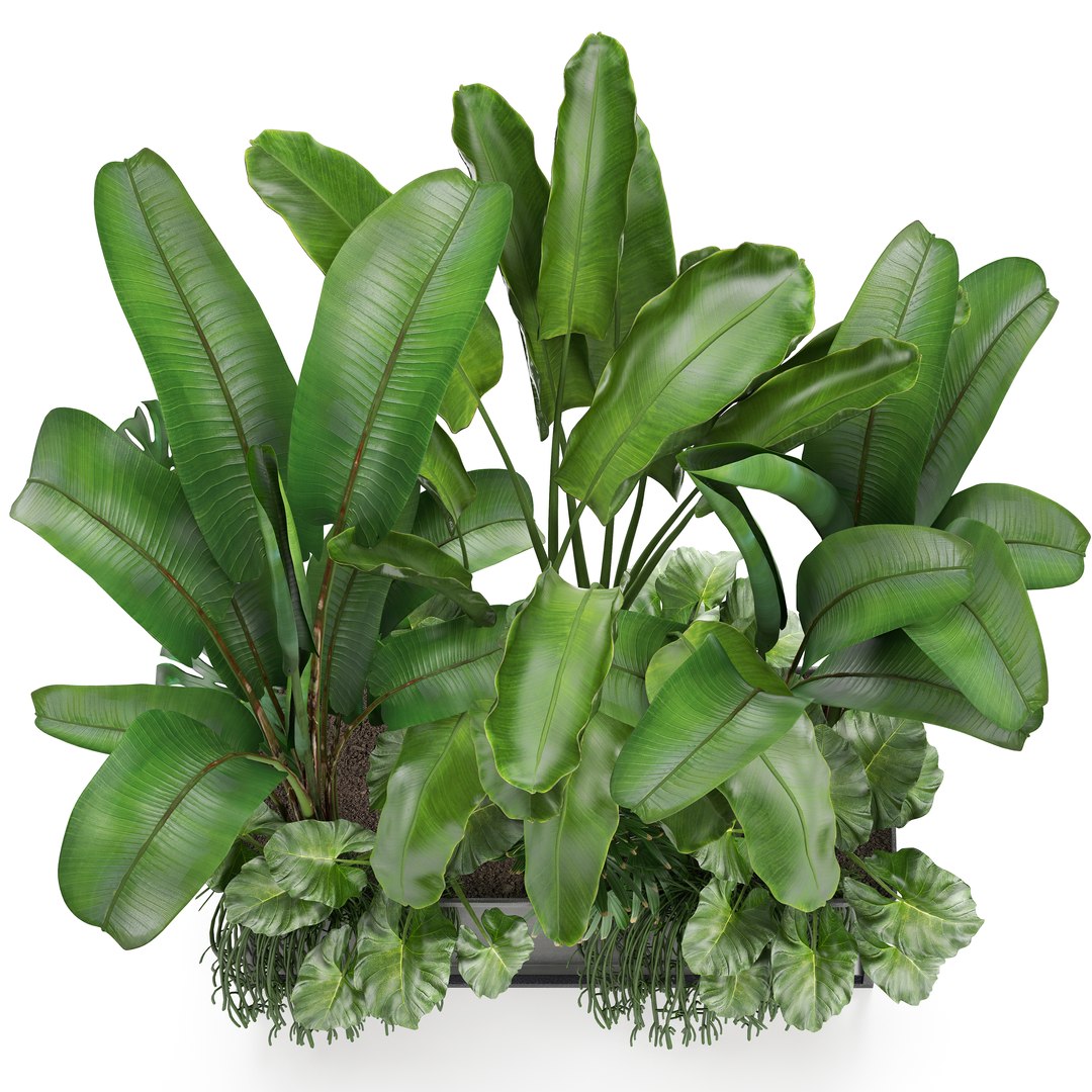 3D loft exotic plants https://p.turbosquid.com/ts-thumb/tl/U9SjrM/4xEJyTHY/plant161004/jpg/1539767385/1920x1080/fit_q87/f5b8b5e2211ec0891e4fb6985ecd75be92f9145c/plant161004.jpg