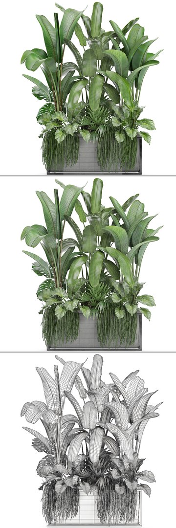 3D loft exotic plants https://p.turbosquid.com/ts-thumb/tl/U9SjrM/GG9tV1rG/plant161006/jpg/1539767385/1920x1080/fit_q87/f82cadc8aa90940fecf5e0eab221e731ff877e9d/plant161006.jpg