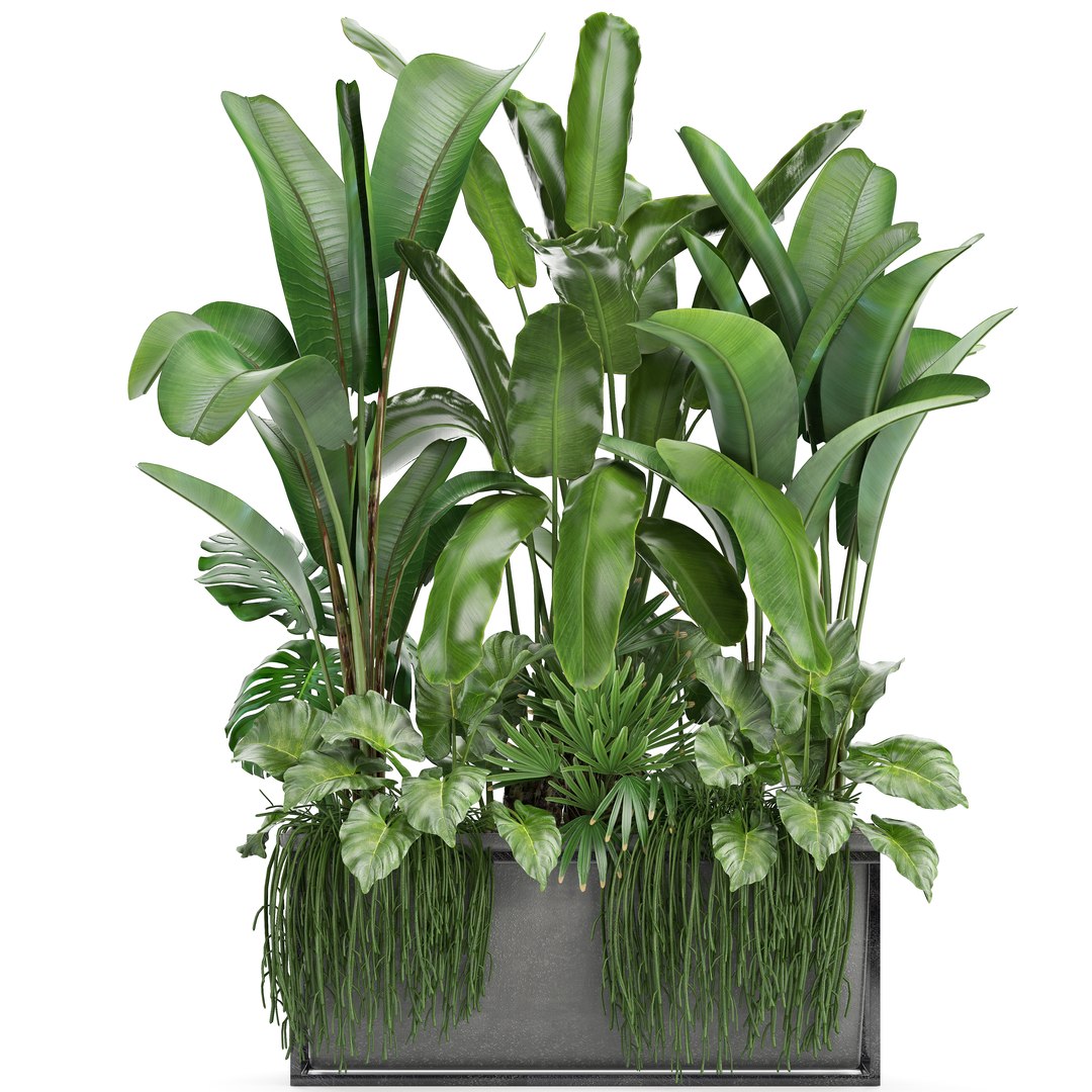 3D loft exotic plants https://p.turbosquid.com/ts-thumb/tl/U9SjrM/N7ql8GQR/plant161001/jpg/1539767385/1920x1080/fit_q87/118ecbc20b3d691d35b32296443fffb5d8740cc6/plant161001.jpg