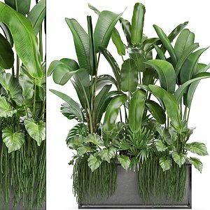 3D loft exotic plants
