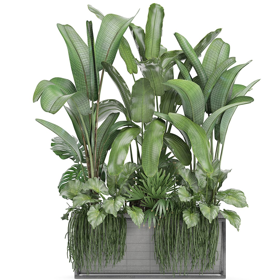 3D loft exotic plants https://p.turbosquid.com/ts-thumb/tl/U9SjrM/VF809cfz/plant161008/jpg/1539767385/1920x1080/fit_q87/6249465bb64b5f533f9e732299bc1cabad254ede/plant161008.jpg