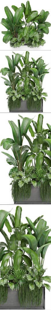 3D loft exotic plants https://p.turbosquid.com/ts-thumb/tl/U9SjrM/Yn2Q16c3/plant161005/jpg/1539767385/1920x1080/fit_q87/5eba425dbe498b2543f3ee14f9daeb5e38b6f19c/plant161005.jpg