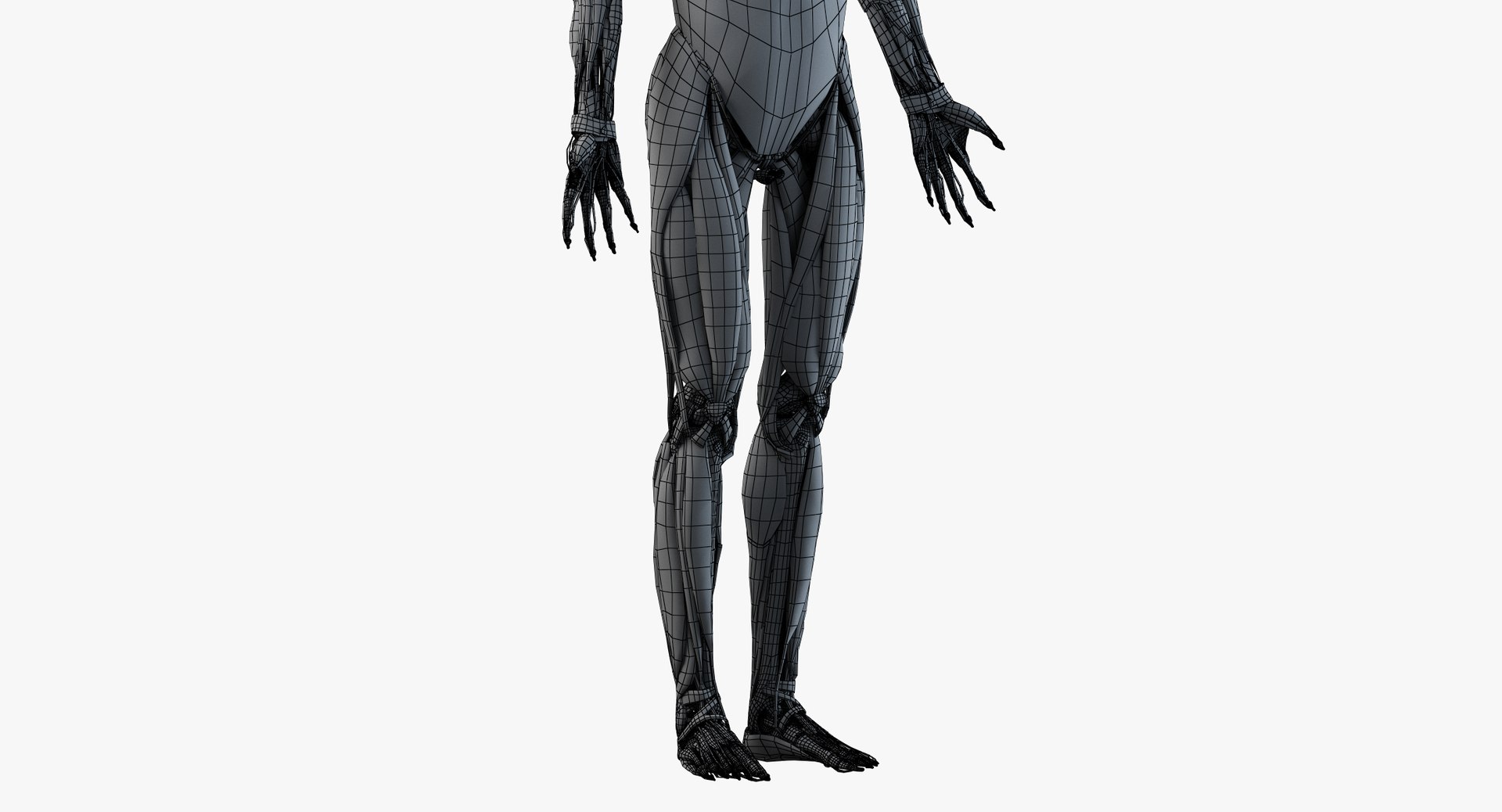 male anatomy organs model https://p.turbosquid.com/ts-thumb/tl/ig3B1t/gncsLIsh/wire_all_muscles0003/png/1556112195/1920x1080/fit_q87/6c5d161bf8ef3d16504b694bfb31dcef0666222c/wire_all_muscles0003.jpg