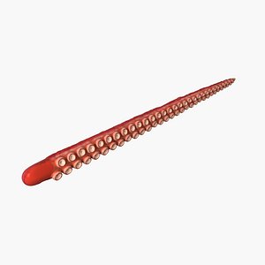 3D tentacle model