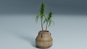 3D Palm Tree 02