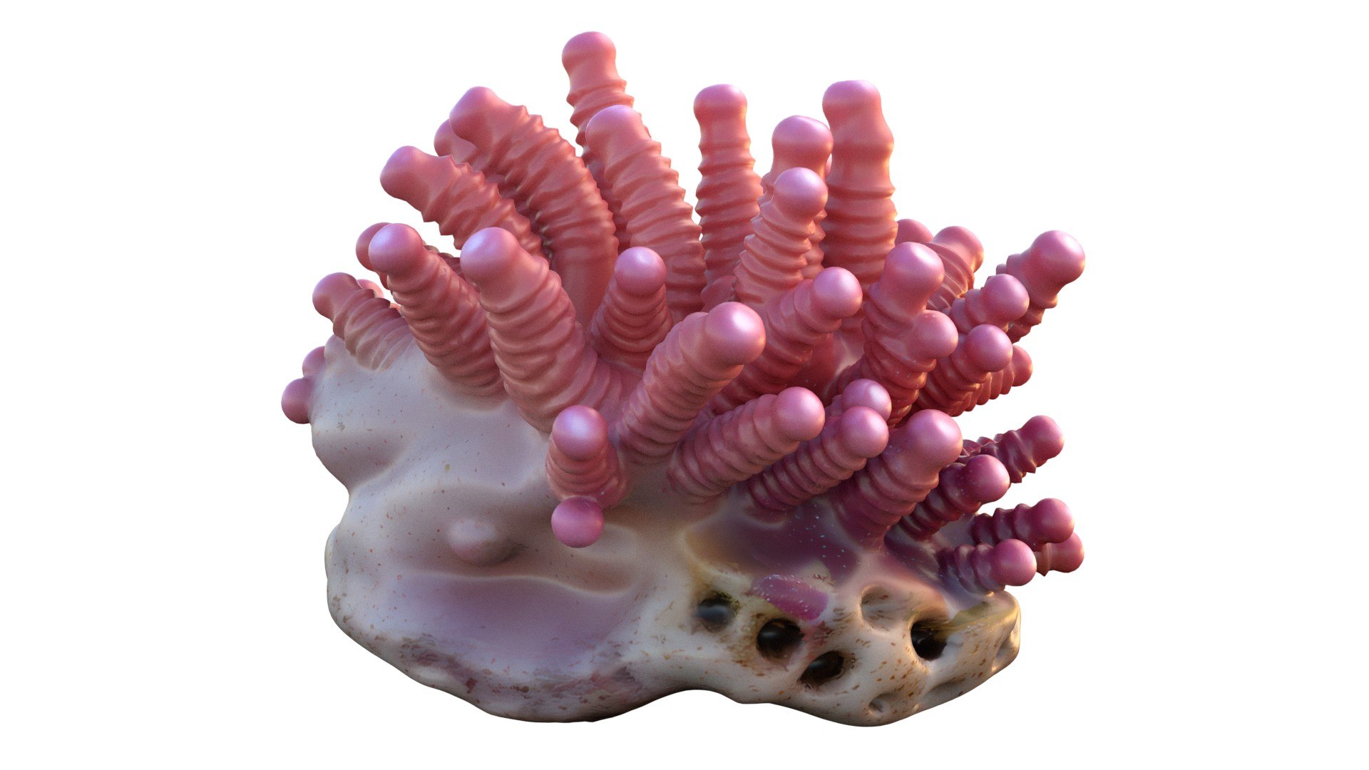 Coral reef 27 3D https://p.turbosquid.com/ts-thumb/tl/mWTPe3/Qe/2/jpg/1756886405/1920x1080/fit_q87/dce6b9b6f75192c7f22287125799c27486ce6cb8/2.jpg