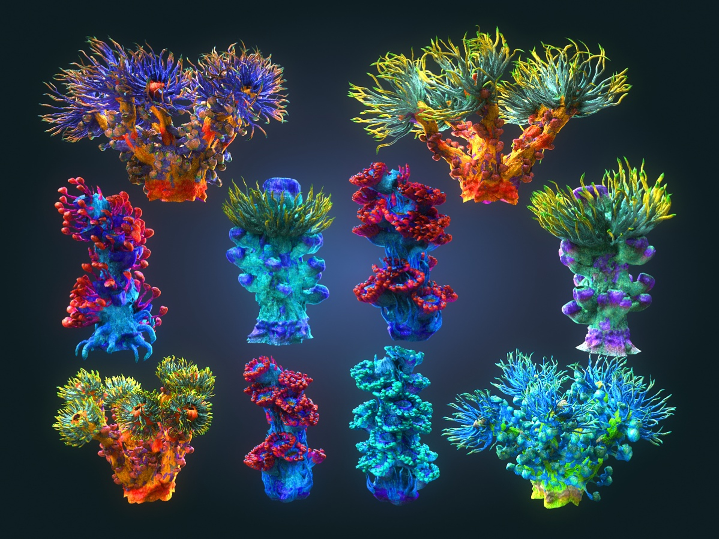 3D plants ocean - alien https://p.turbosquid.com/ts-thumb/tm/90oxkQ/Dzkltf8d/0000/jpg/1547169250/1920x1080/turn_fit_q99/37c37cfe2c890b6c431c691ec31f8cc238b2c5c7/0000-1.jpg