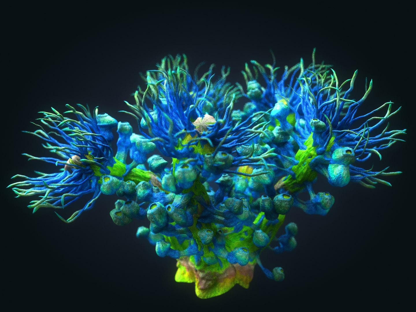 3D plants ocean - alien https://p.turbosquid.com/ts-thumb/tm/90oxkQ/I1VzB5Xl/778/jpg/1547169724/1920x1080/fit_q87/17ededcbe95cb6c00625916aa7d33a8303ff8df5/778.jpg