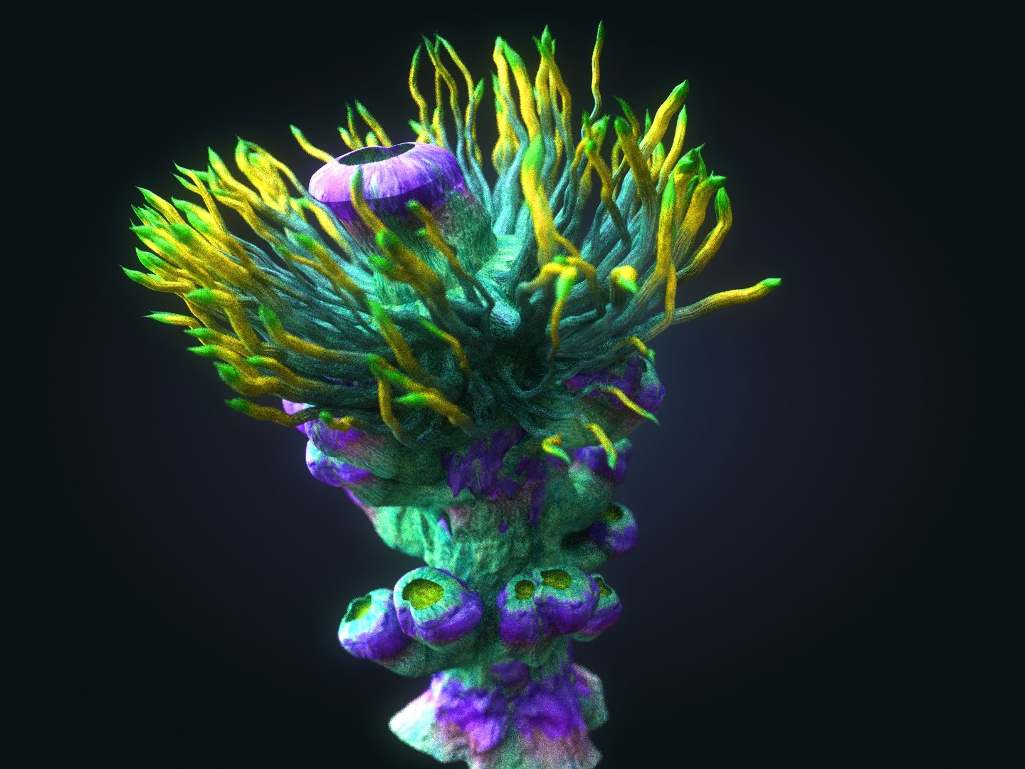3D plants ocean - alien https://p.turbosquid.com/ts-thumb/tm/90oxkQ/Mq1M2NFG/90890/jpg/1547170342/1920x1080/fit_q87/9028f6653671ca7abcda83c673c2ffa6bacd07cc/90890.jpg