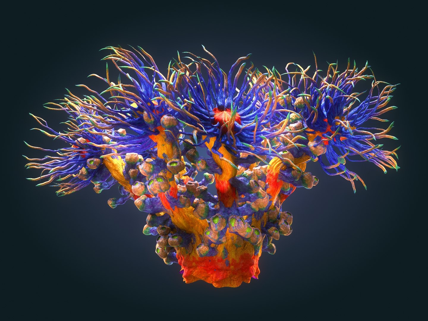 3D plants ocean - alien https://p.turbosquid.com/ts-thumb/tm/90oxkQ/QEjZaurv/67568/jpg/1547169724/1920x1080/fit_q87/4b6af7f6cadd29cd90e73888b1d8d0cd0379ea22/67568.jpg
