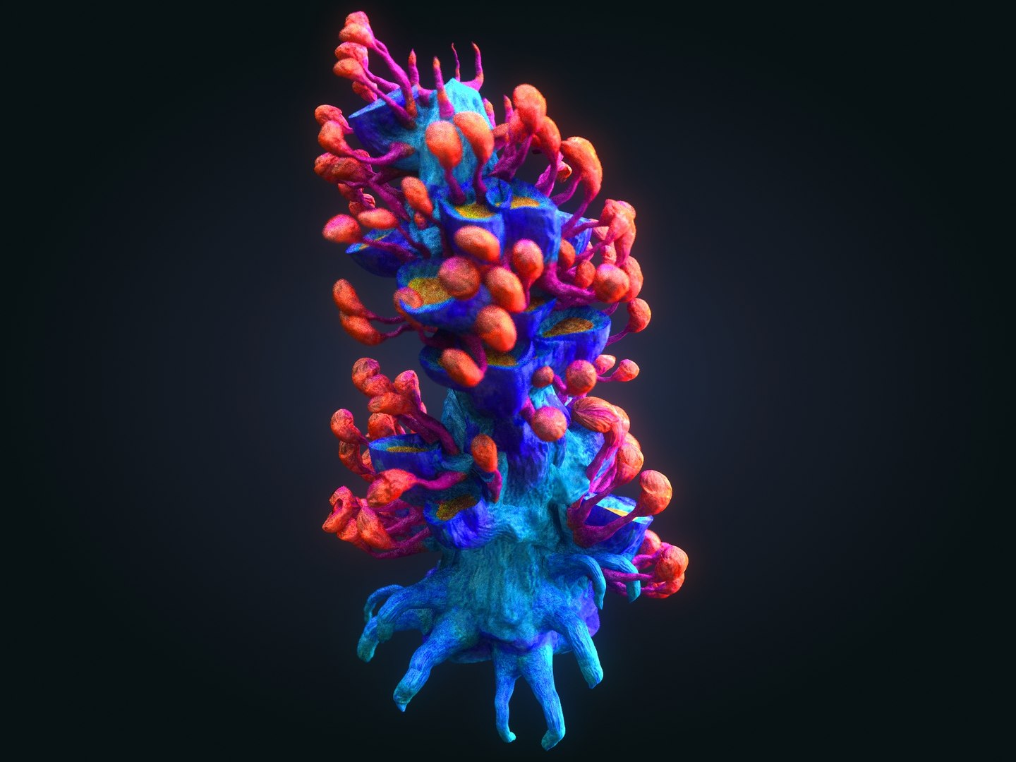 3D plants ocean - alien https://p.turbosquid.com/ts-thumb/tm/90oxkQ/RaZrw5jM/89789789/jpg/1547170343/1920x1080/fit_q87/3acd1ba9193d5b83fd957170a941f6d7f6a243fc/89789789.jpg